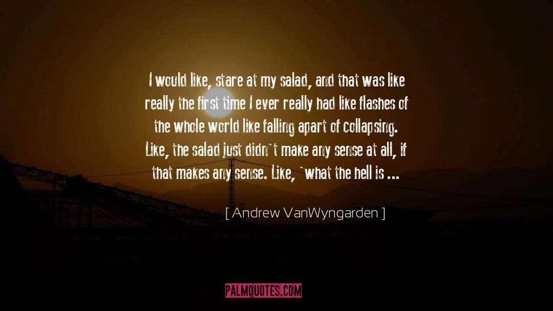 Little Moments quotes by Andrew VanWyngarden