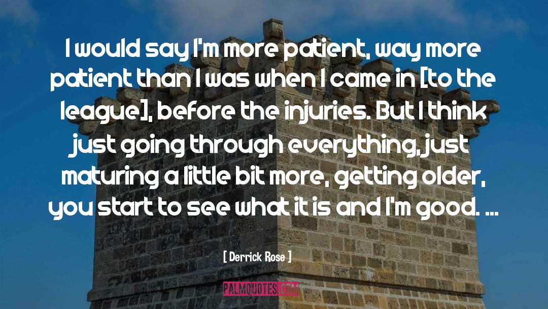 Little Moments quotes by Derrick Rose