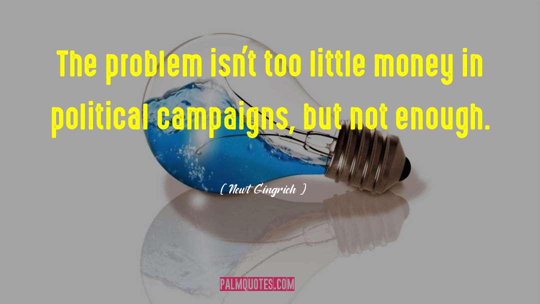 Little Money quotes by Newt Gingrich