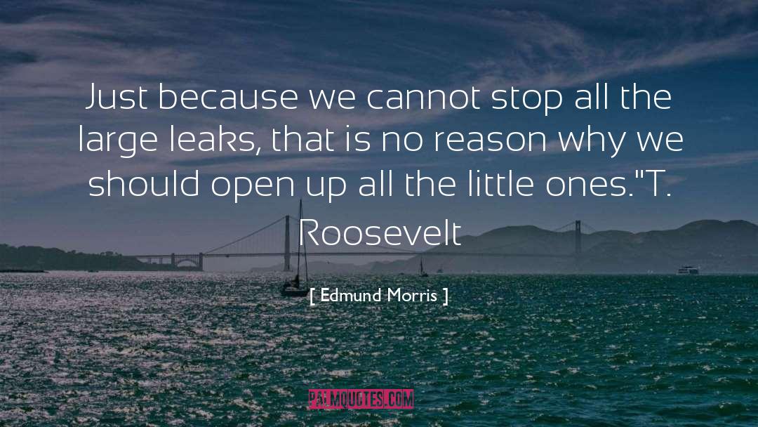 Little Ones quotes by Edmund Morris
