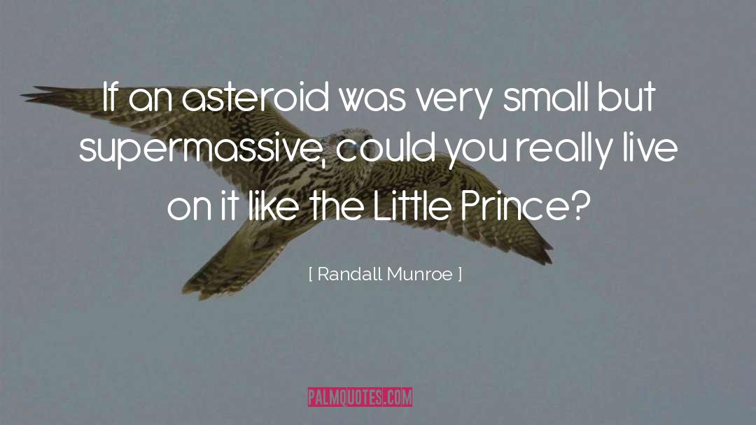 Little Prince quotes by Randall Munroe