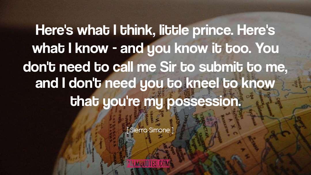 Little Prince quotes by Sierra Simone