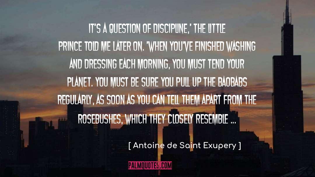 Little Prince quotes by Antoine De Saint Exupery