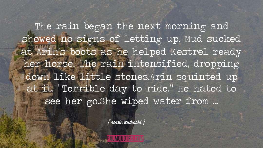 Little Stones quotes by Marie Rutkoski