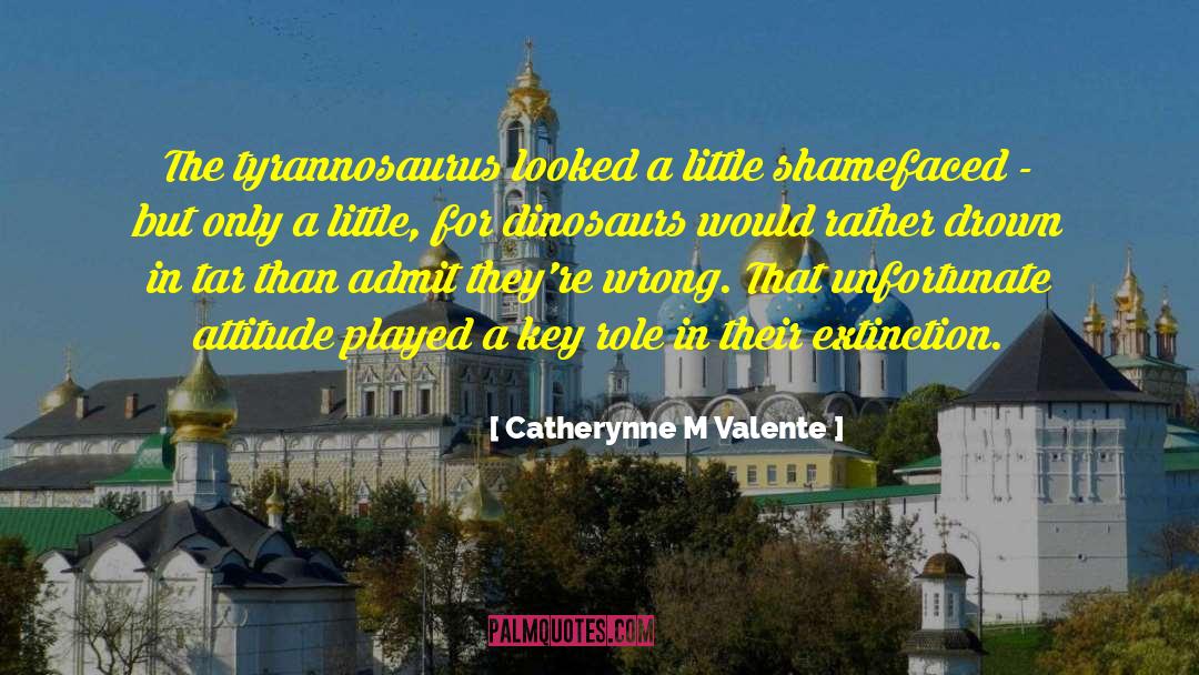 Little Stones quotes by Catherynne M Valente