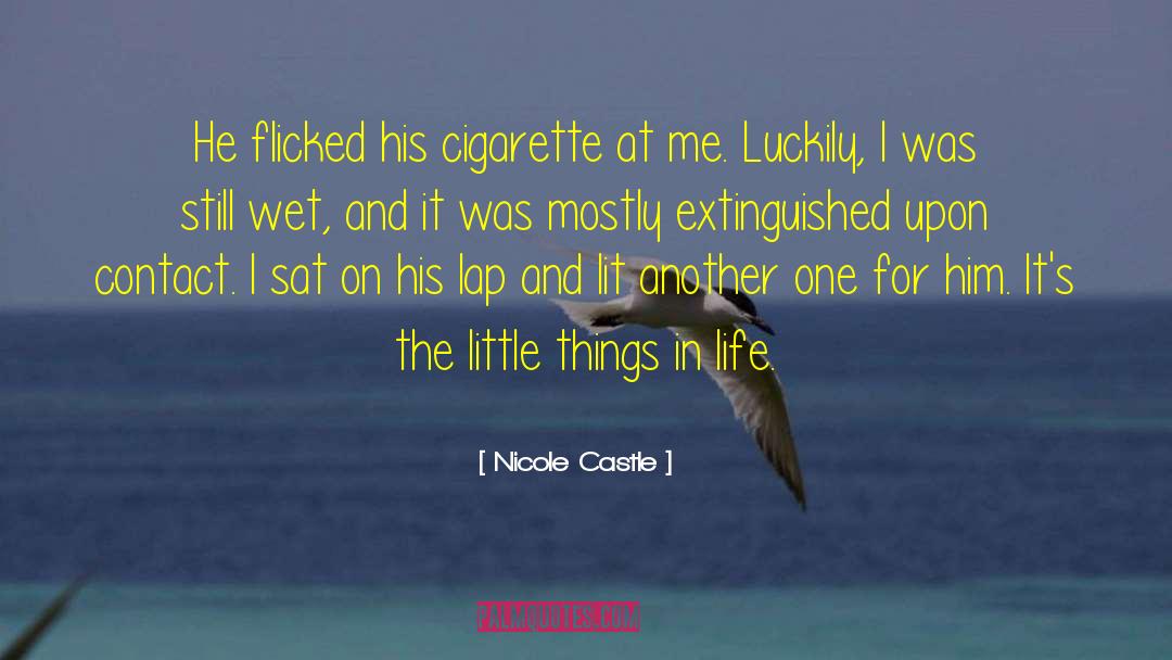 Little Things In Life quotes by Nicole Castle