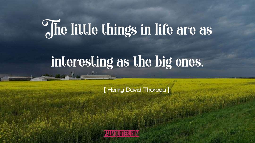 Little Things In Life quotes by Henry David Thoreau