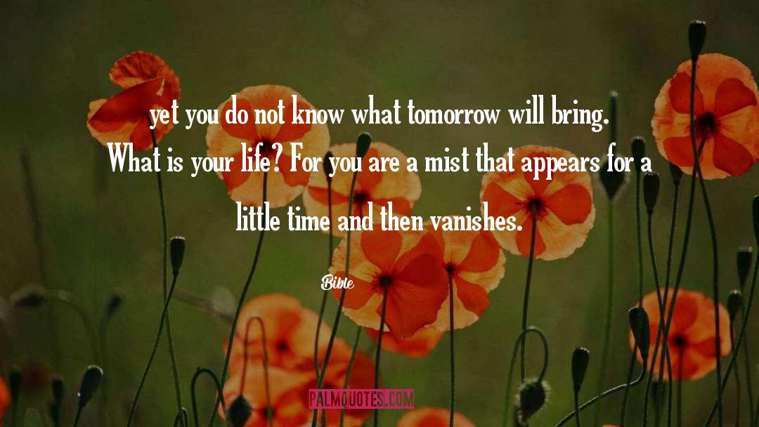 Little Time quotes by Bible