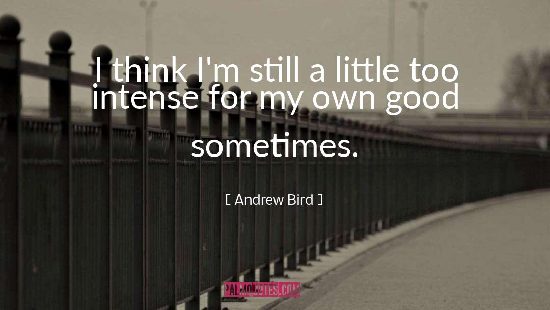 Little Towns quotes by Andrew Bird