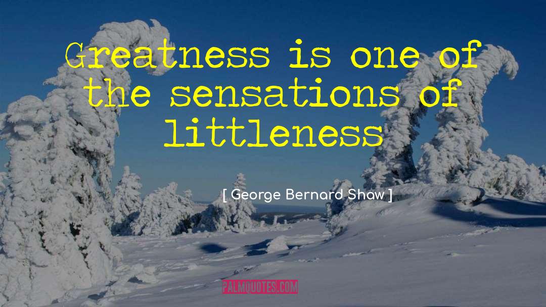 Littleness quotes by George Bernard Shaw