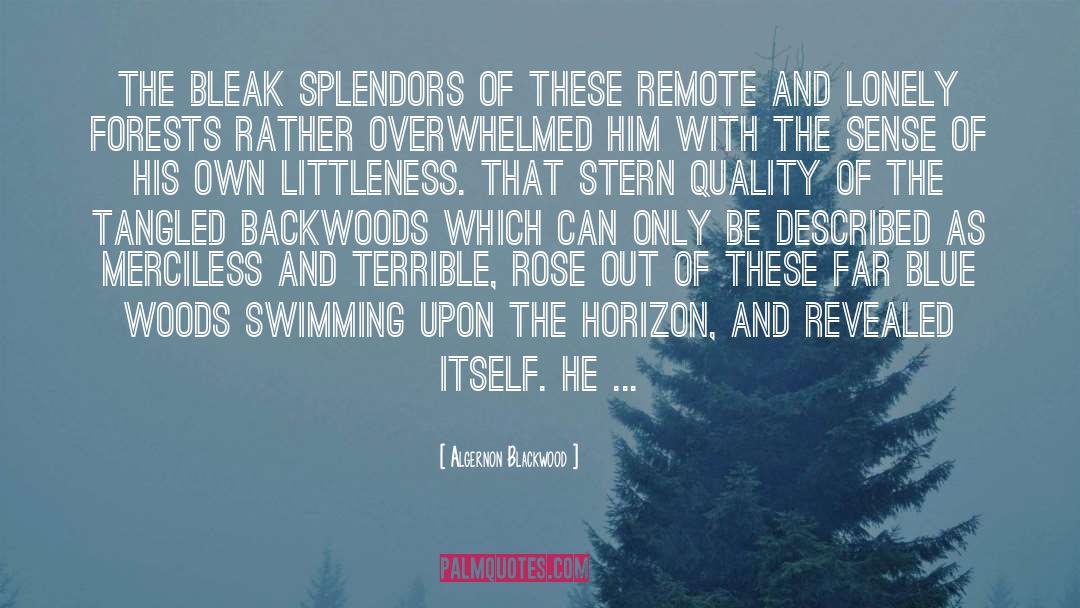Littleness quotes by Algernon Blackwood