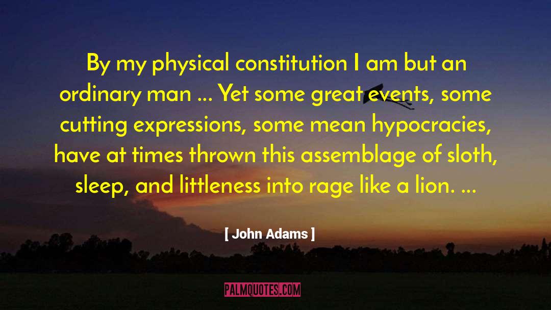 Littleness quotes by John Adams