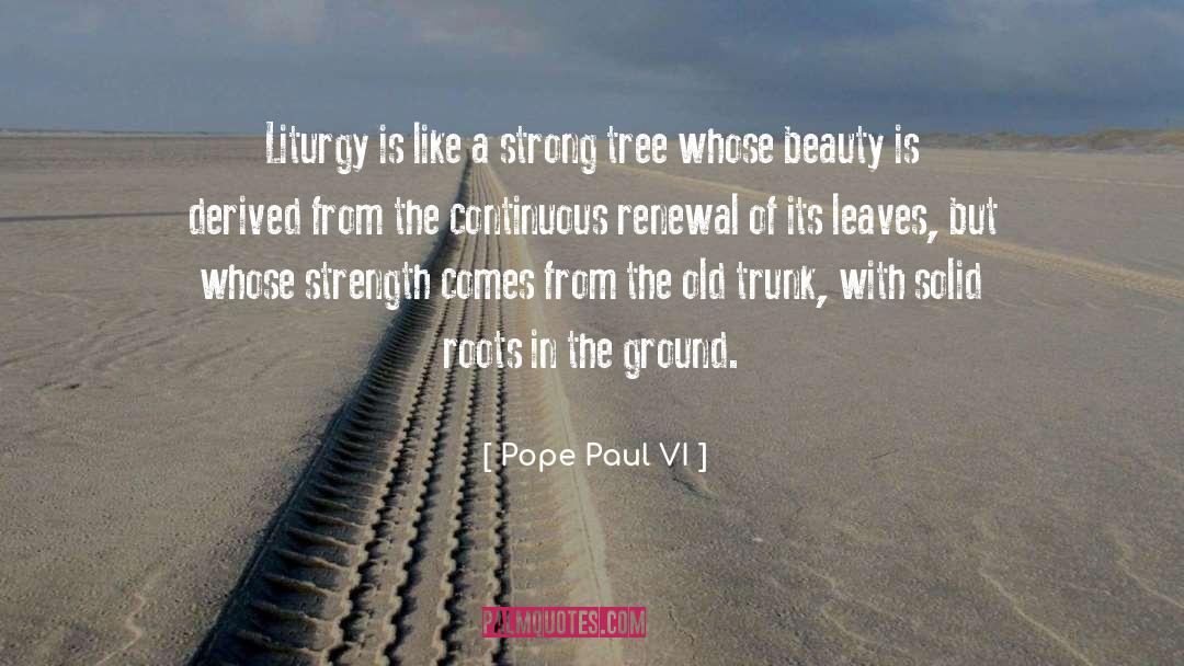 Liturgy quotes by Pope Paul VI