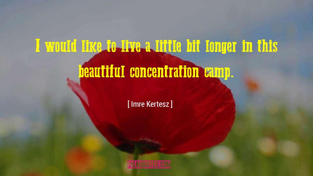 Live A Little quotes by Imre Kertesz