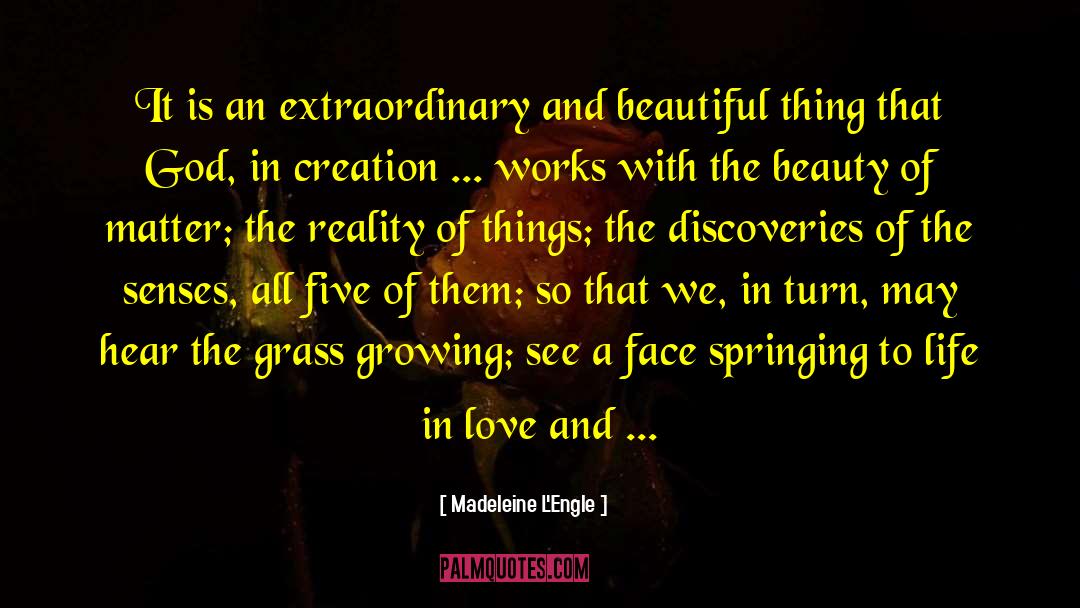 Live An Extraordinary Life quotes by Madeleine L'Engle