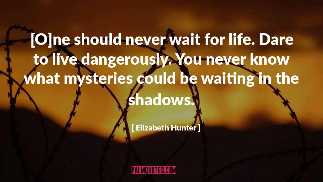 Live Dangerously quotes by Elizabeth Hunter