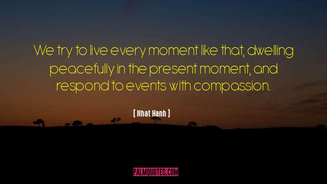 Live Every Moment quotes by Nhat Hanh