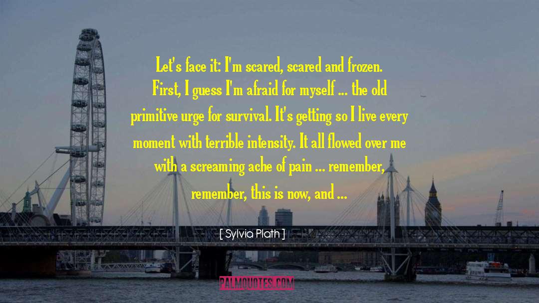 Live Every Moment quotes by Sylvia Plath