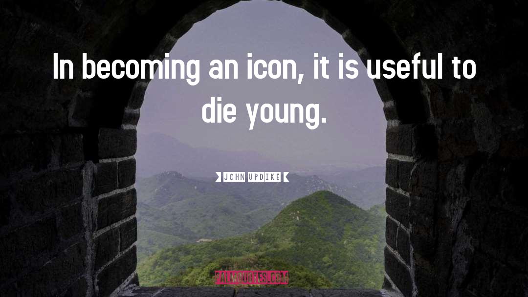 Live Fast Die Young quotes by John Updike