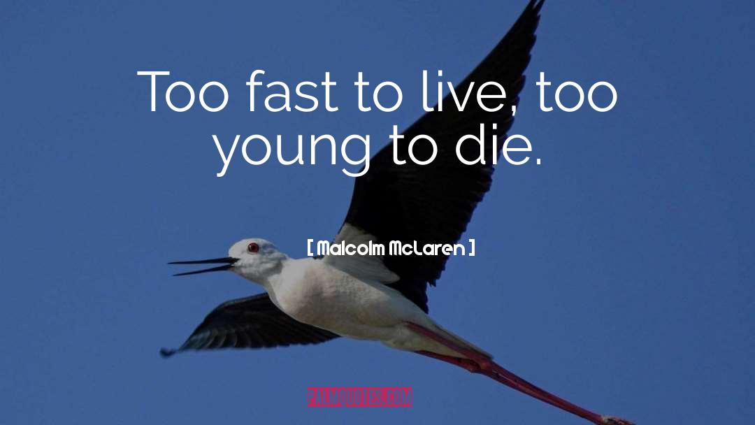 Live Fast Die Young Similar quotes by Malcolm McLaren