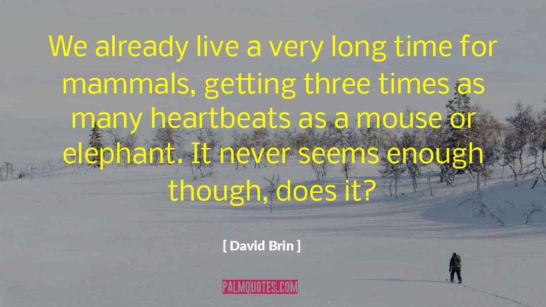 Live For Others quotes by David Brin