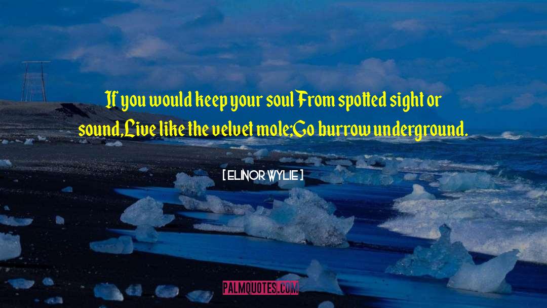 Live From Your Soul Essence quotes by Elinor Wylie