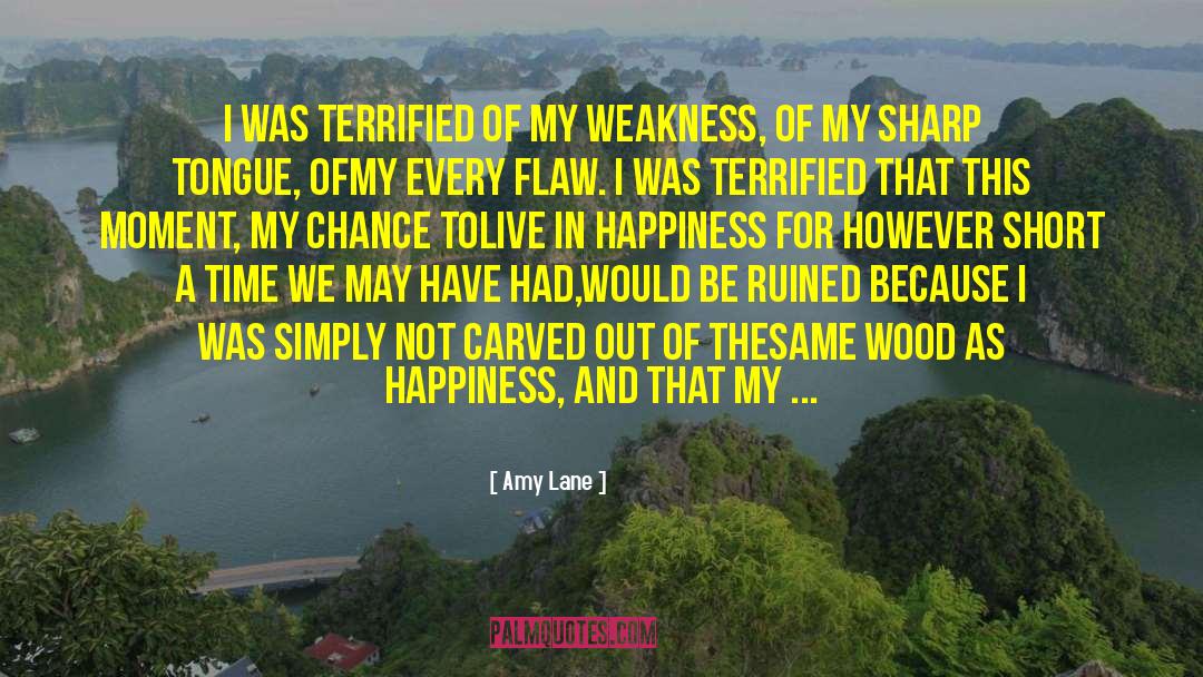 Live In Happiness quotes by Amy Lane