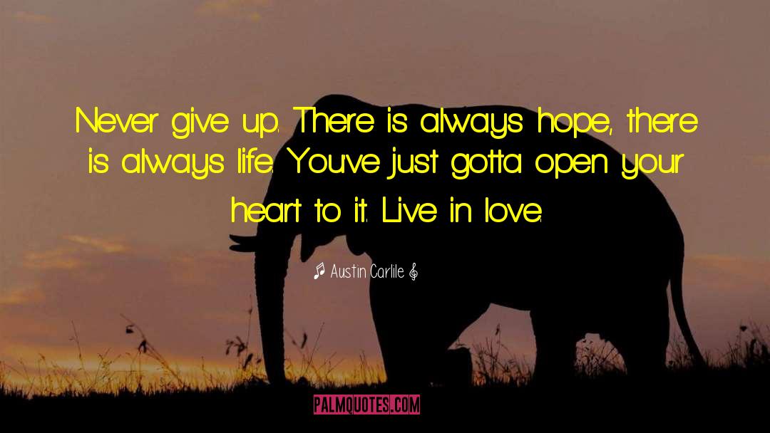 Live In Love quotes by Austin Carlile