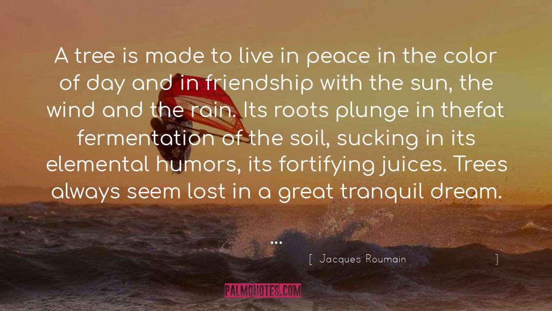 Live In Peace quotes by Jacques Roumain