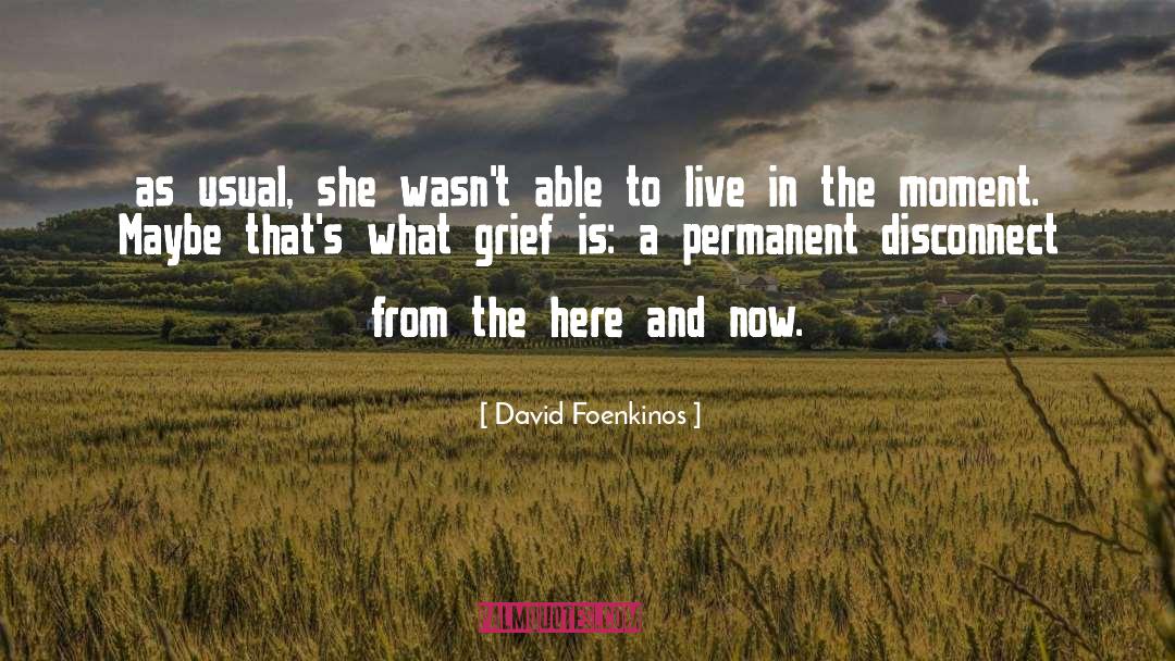 Live In The Moment quotes by David Foenkinos