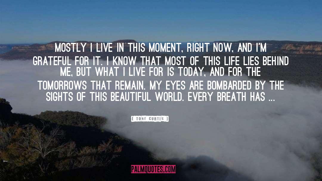 Live In This Moment quotes by Tony Curtis