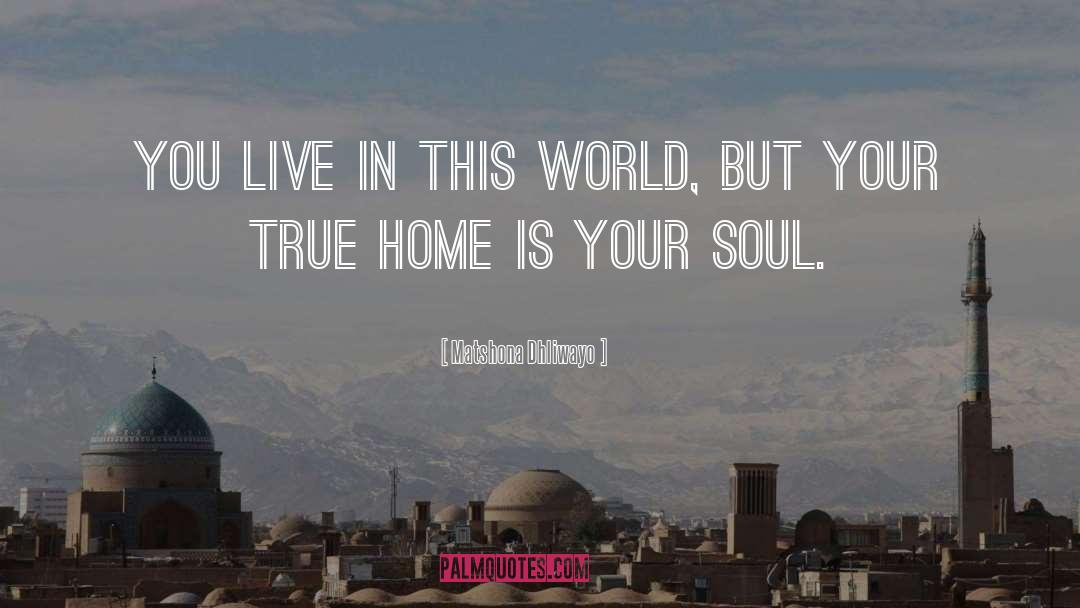 Live In This World quotes by Matshona Dhliwayo