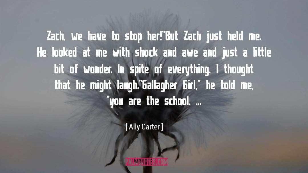 Live Laugh quotes by Ally Carter