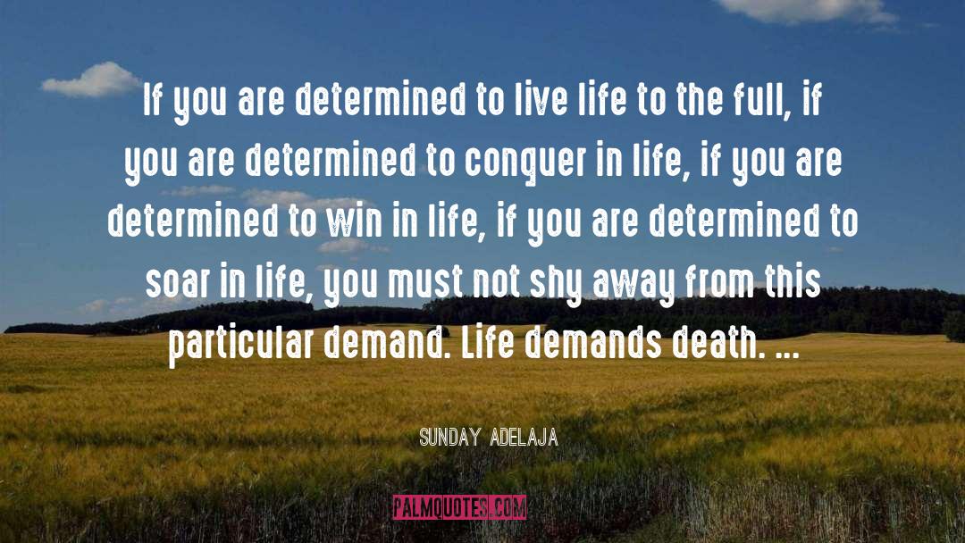 Live Life quotes by Sunday Adelaja