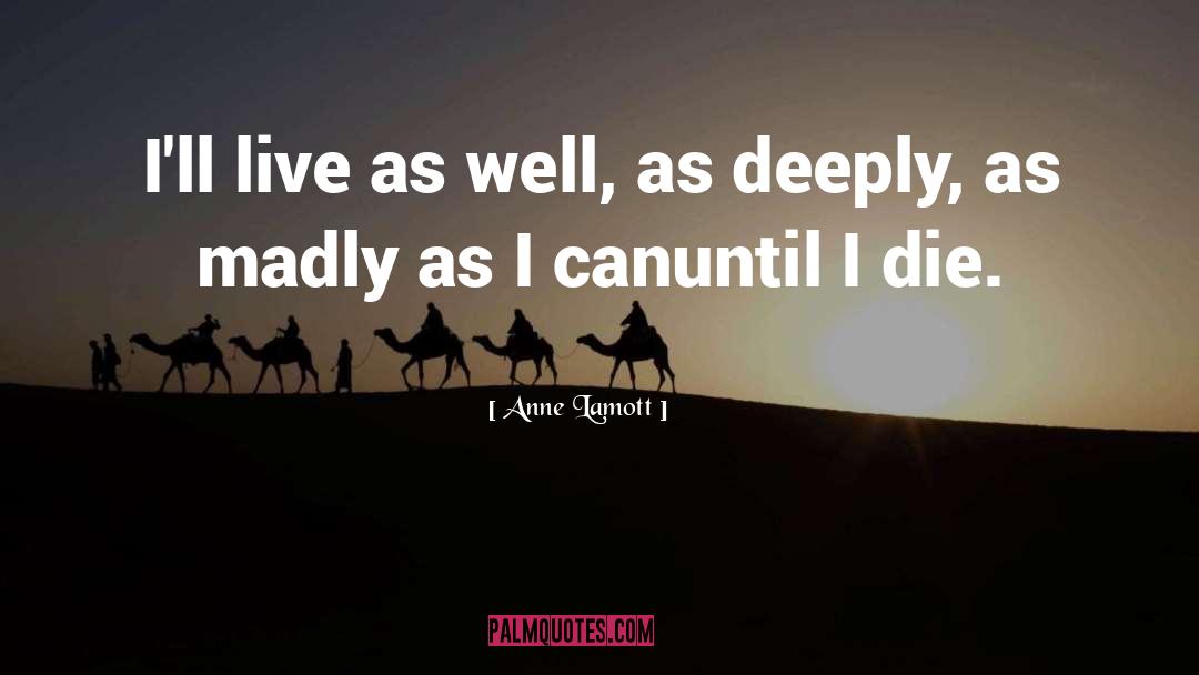 Live Living quotes by Anne Lamott