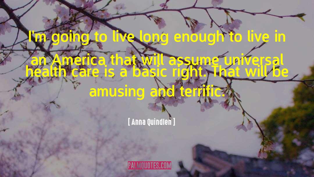 Live Long Enough To See Yourself Become Quote quotes by Anna Quindlen