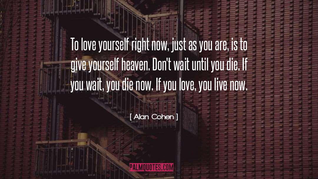 Live Now quotes by Alan Cohen