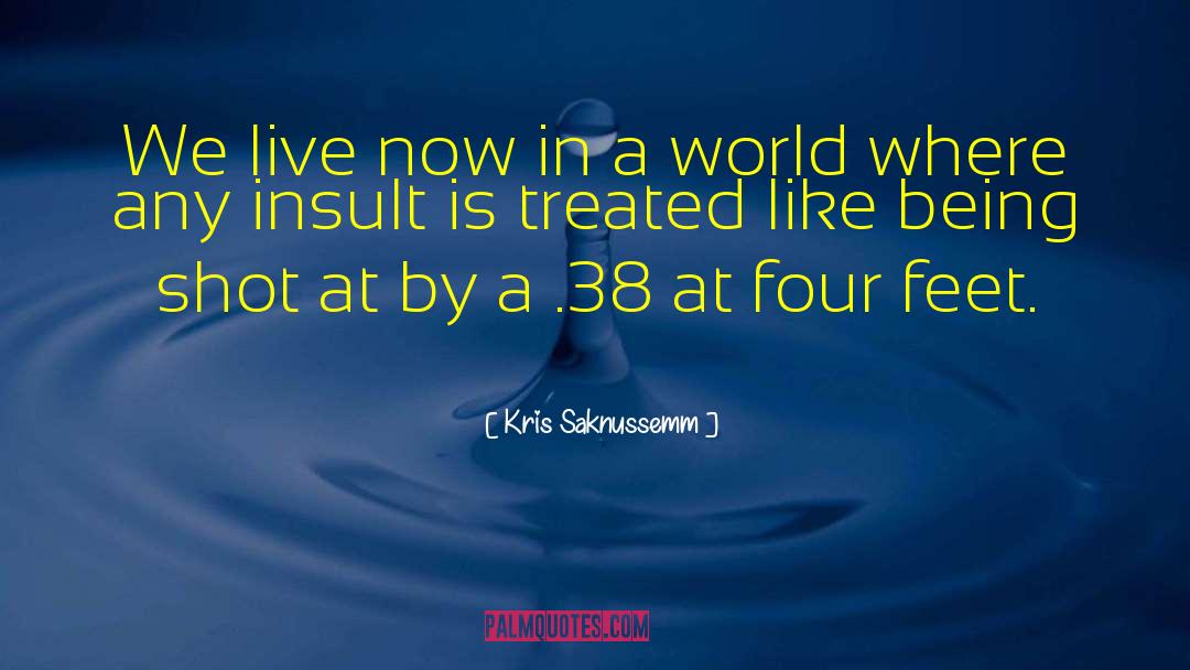 Live Now quotes by Kris Saknussemm