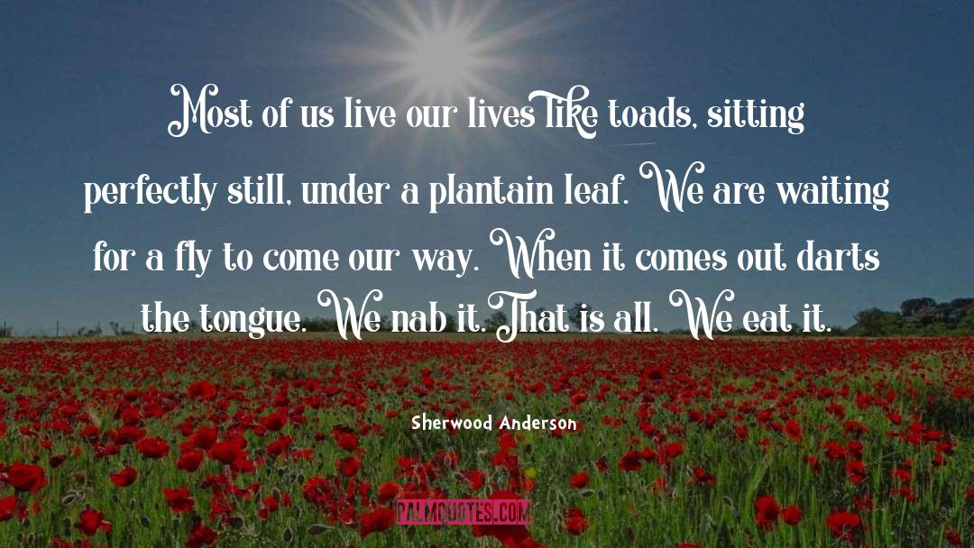 Live Our Lives quotes by Sherwood Anderson