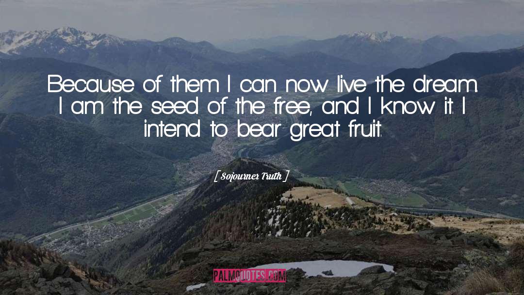 Live The Dream quotes by Sojourner Truth