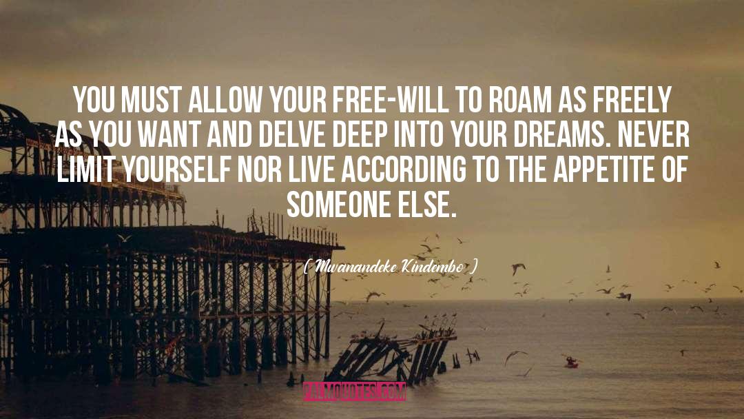 Live The Life Of Your Dreams quotes by Mwanandeke Kindembo