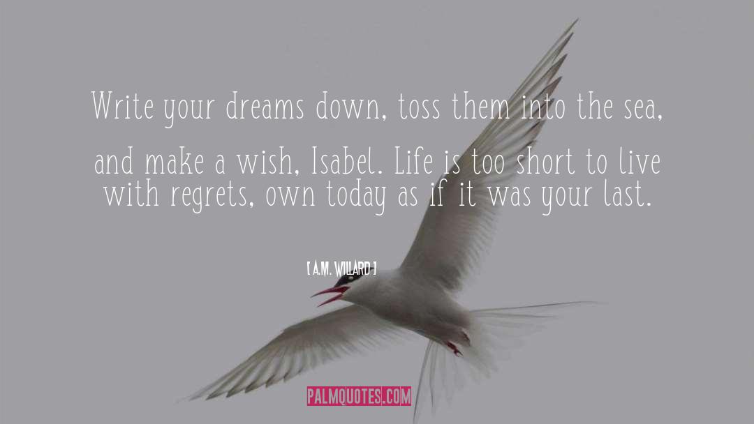 Live The Life Of Your Dreams quotes by A.M. Willard