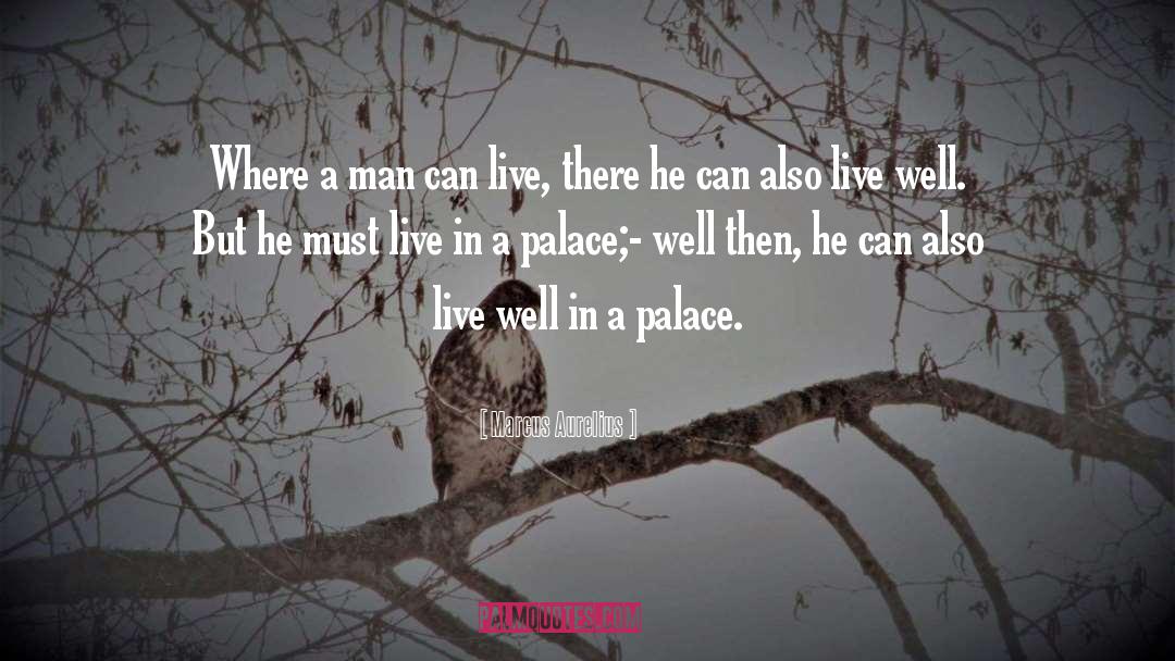 Live Well quotes by Marcus Aurelius