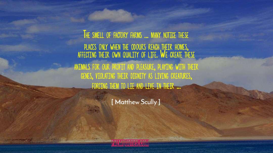 Live With Dignity And Peace quotes by Matthew Scully