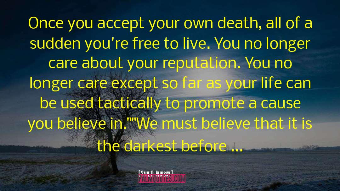 Live Your Life Mission quotes by Saul D. Alinsky