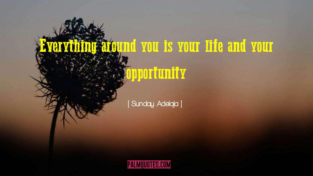 Live Your Life Mission quotes by Sunday Adelaja