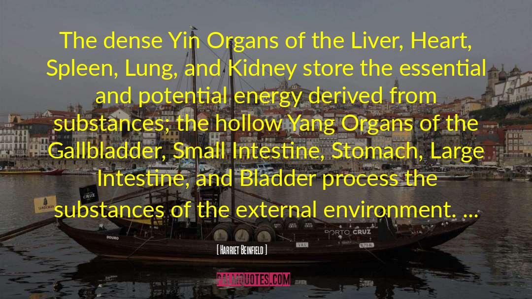 Liver Transplants quotes by Harriet Beinfield