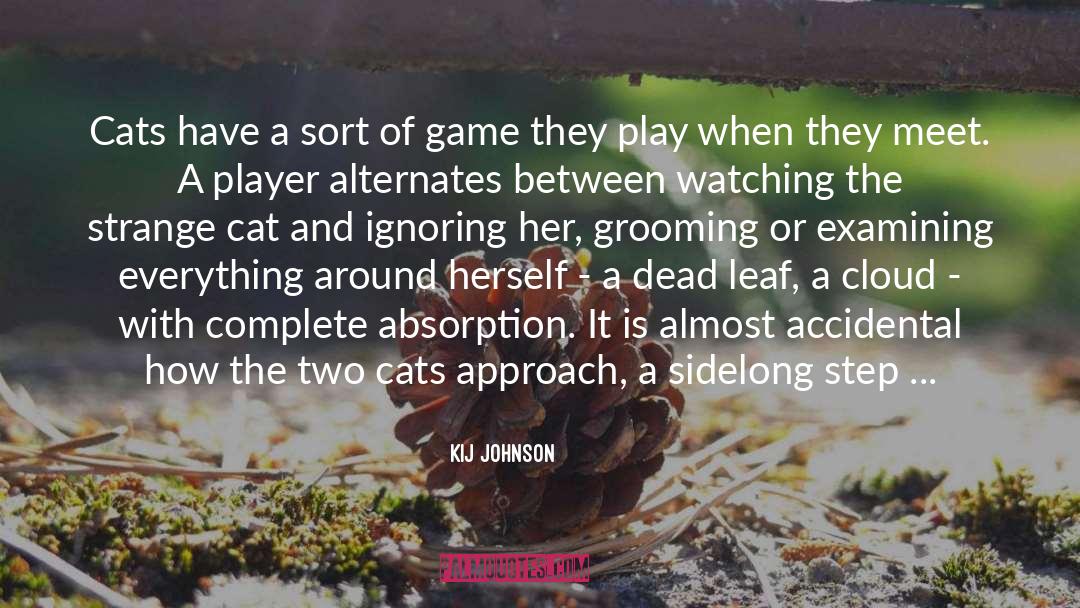 Lives Lost Cat Grooming quotes by Kij Johnson