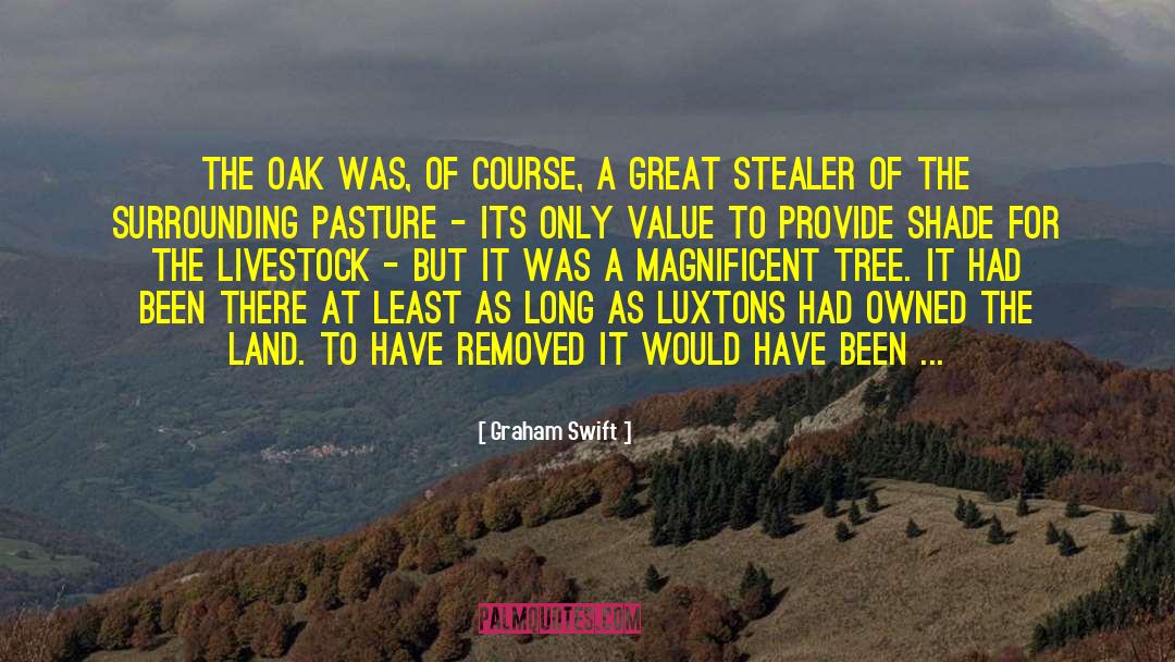 Livestock quotes by Graham Swift
