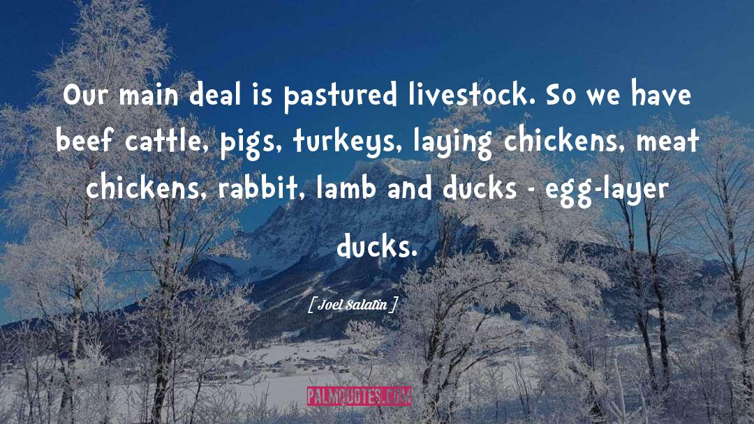 Livestock quotes by Joel Salatin